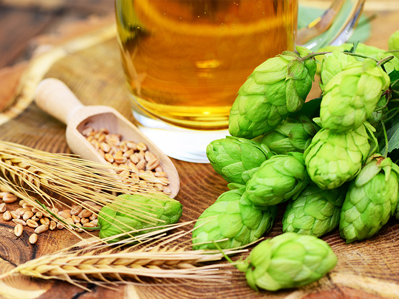 Houblon